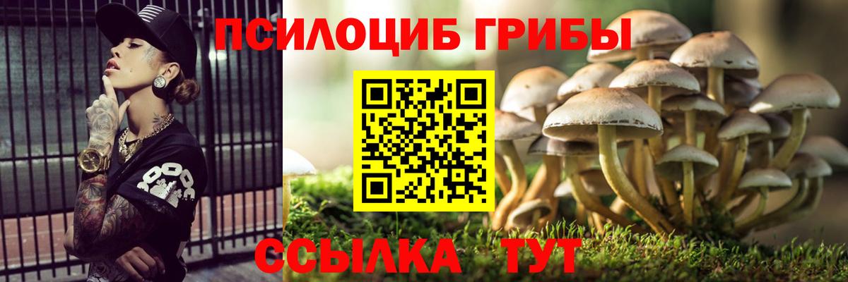 Галлюциногенные грибы GOLDEN TEACHER Ачхой-Мартан