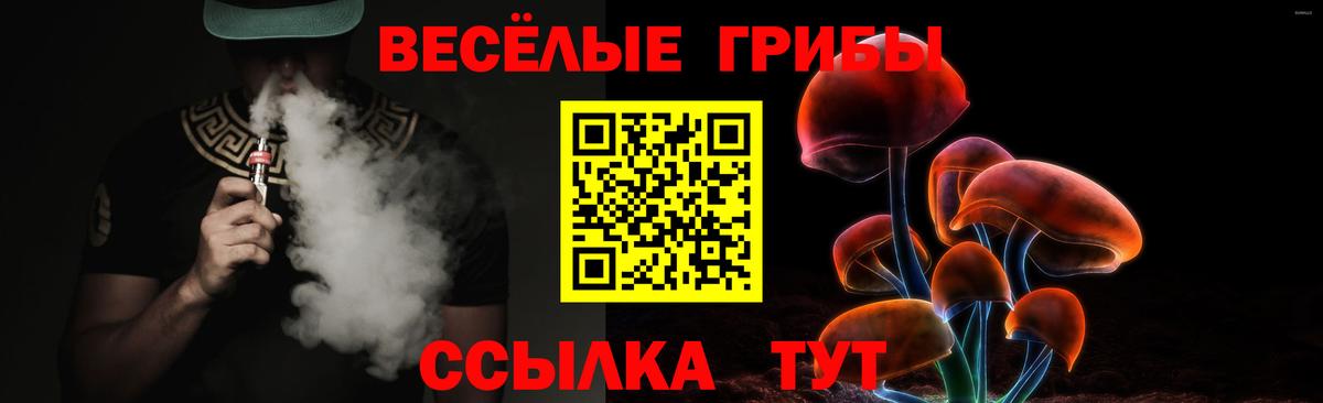 Галлюциногенные грибы Psilocybe  Псилоцибиновые грибы Magic Shrooms  Ачхой-Мартан  Вход с VPN 